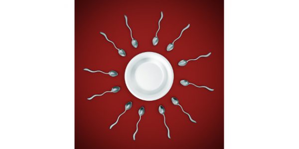 Les Acides Gras Trans Pourraient Nuire Aux Spermatozo Des