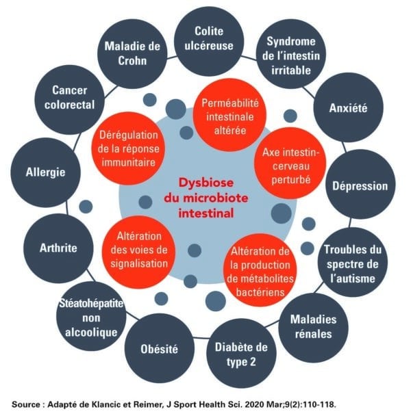 Biologiste365 Analyse Du Microbiome Intestinal Quelle Place Pour Le