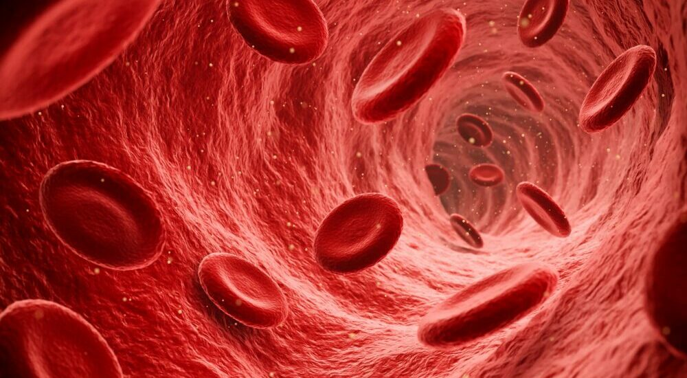 illustration d'un vaisseau sanguin dans lequel circule des globules rouges