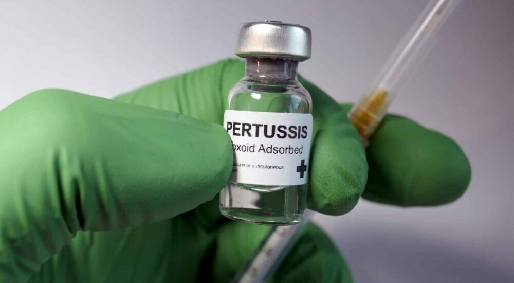 vaccin contre la coqueluche (pertussis)