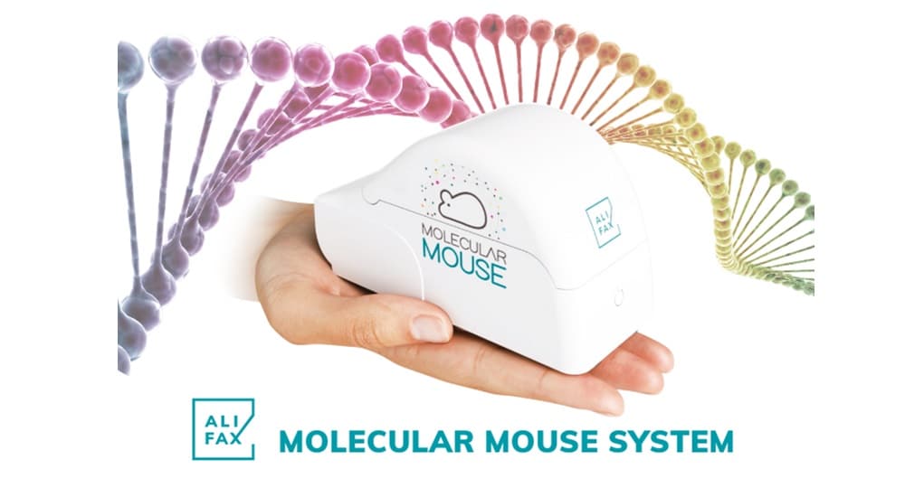 la Molecular Mouse