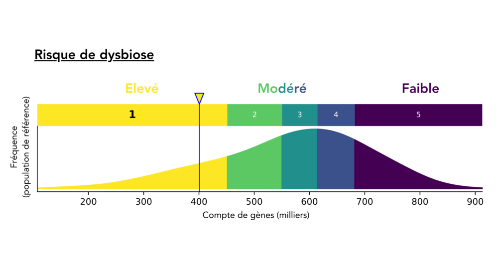 GMT Science : l’analyse du microbiote au service de la clinique